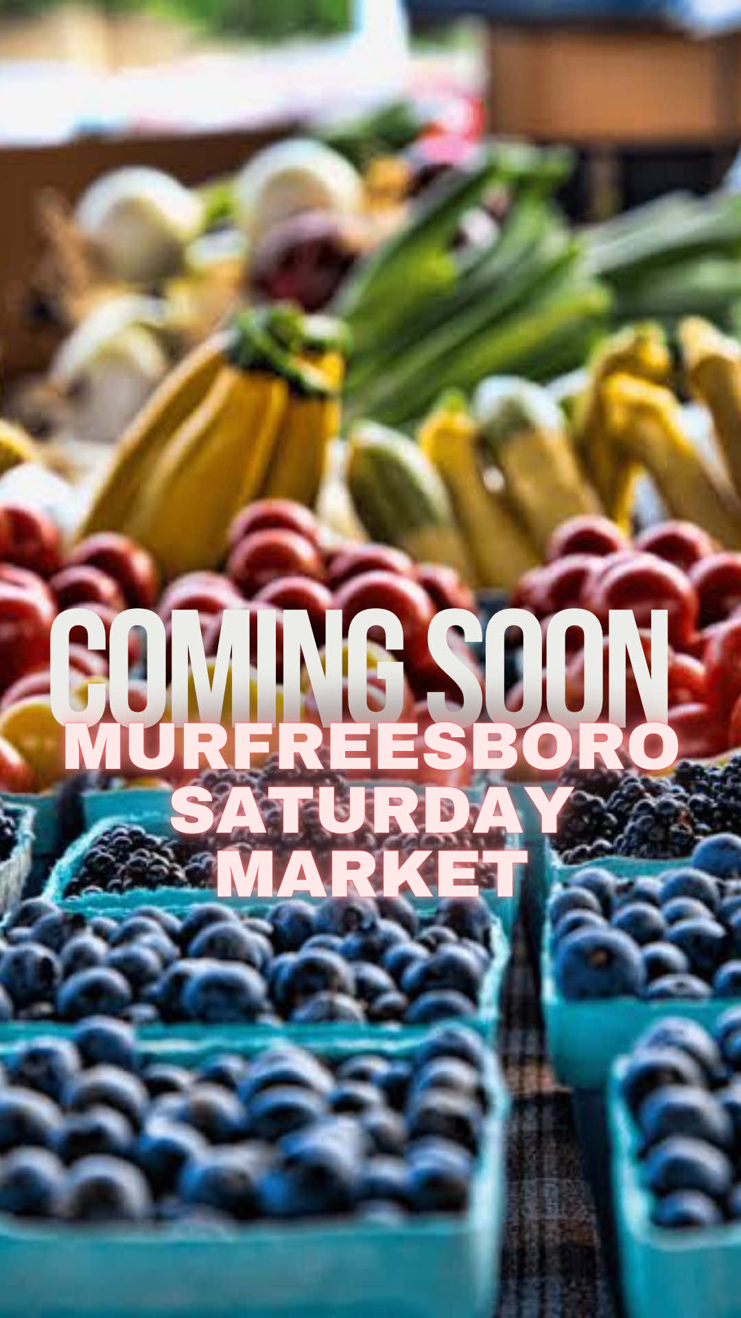@Murfreesboro.com