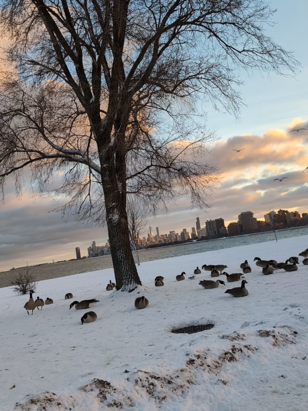 @Alex Sacth