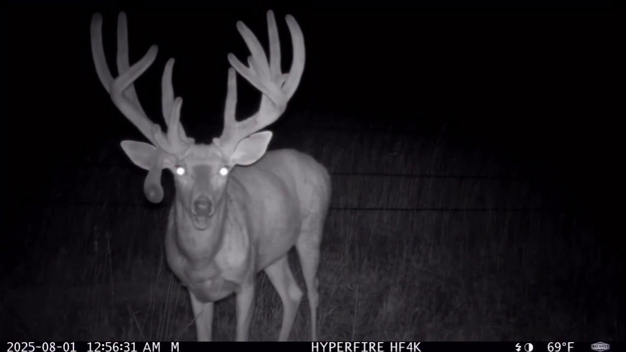 @Buckmasters Outdoors