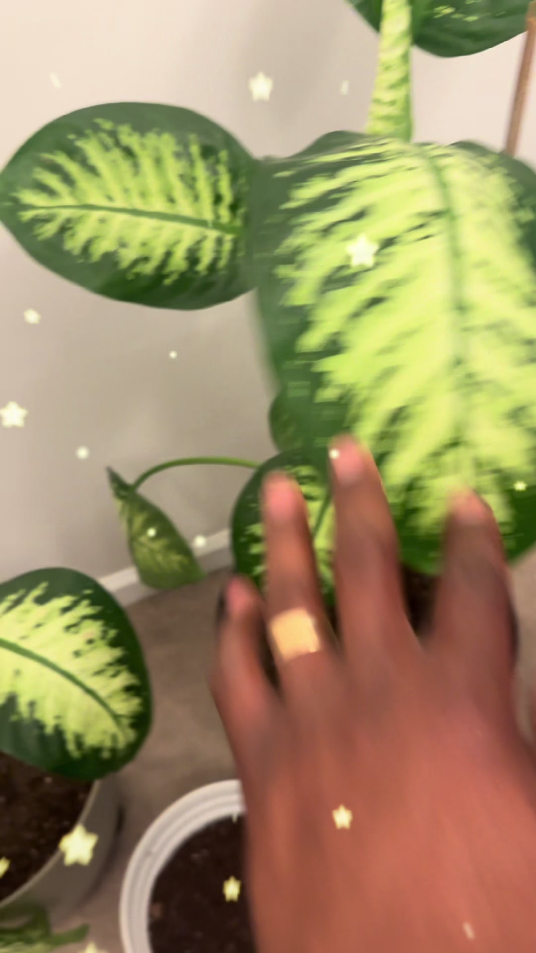 @MoePlantDad