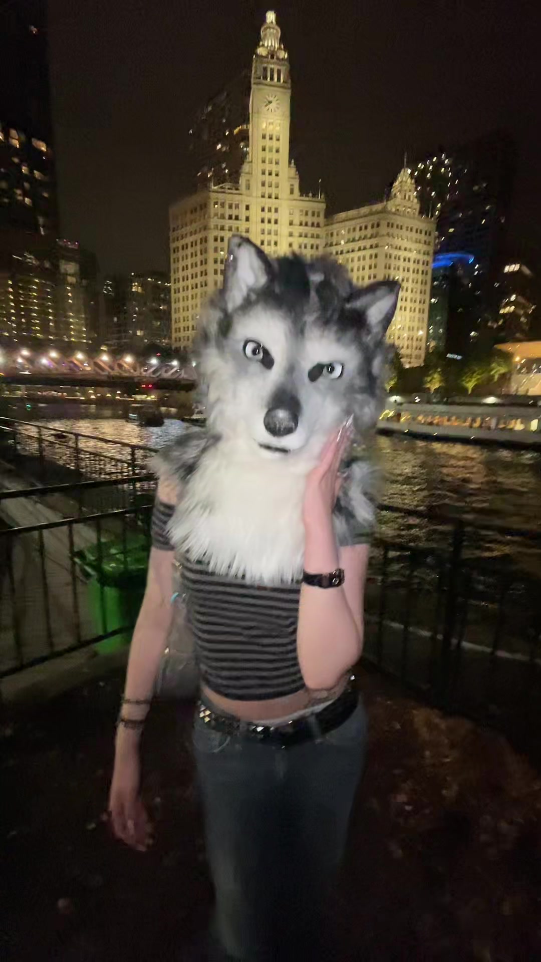 @derpykitten