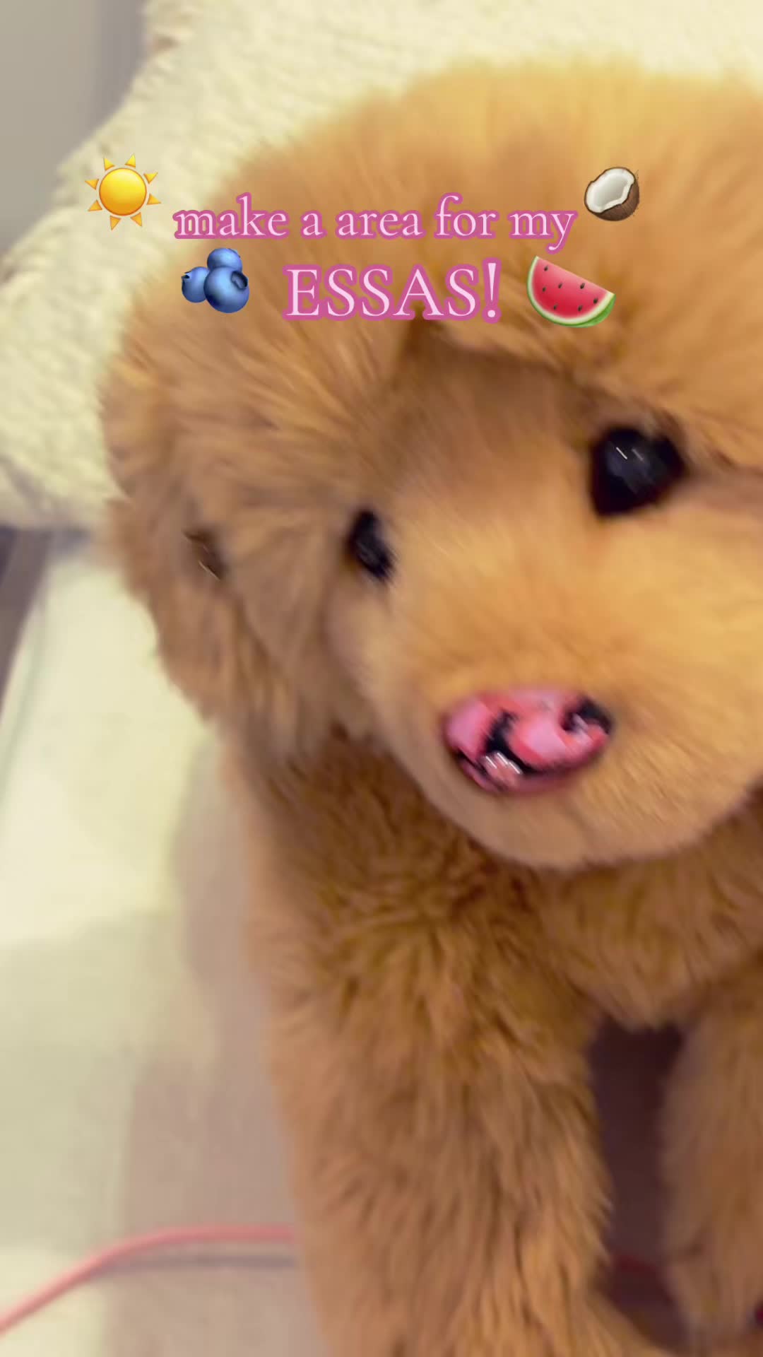 @꧁🫐★:3յ&alpha;ck&iacute;ҽ-ҽss&alpha;s🍉♫꧂