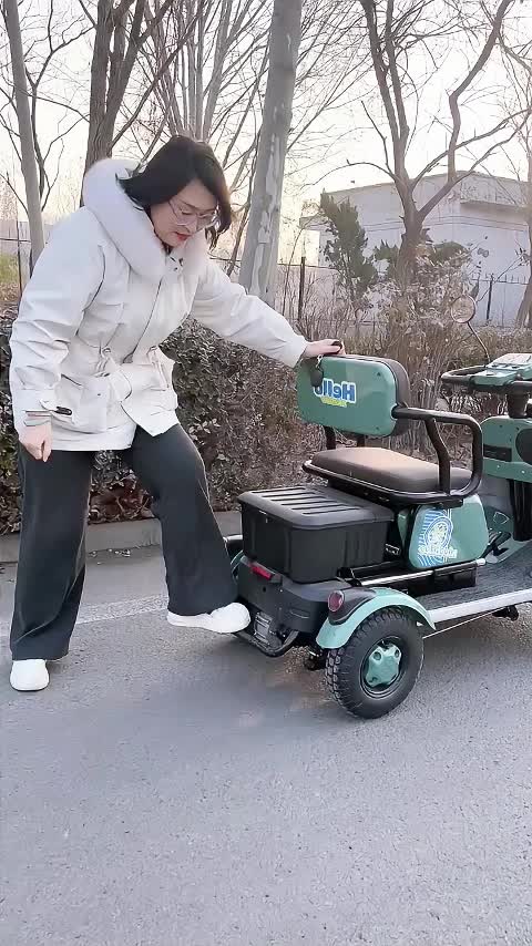 @mini bus_ev