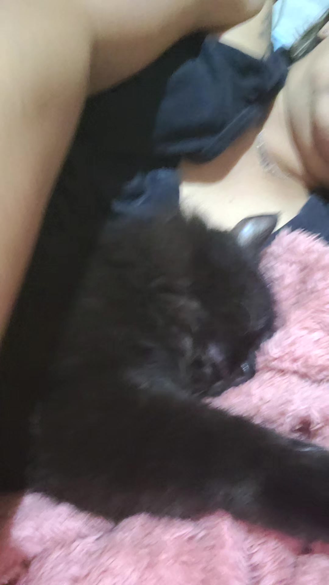 @CrazyCatMe