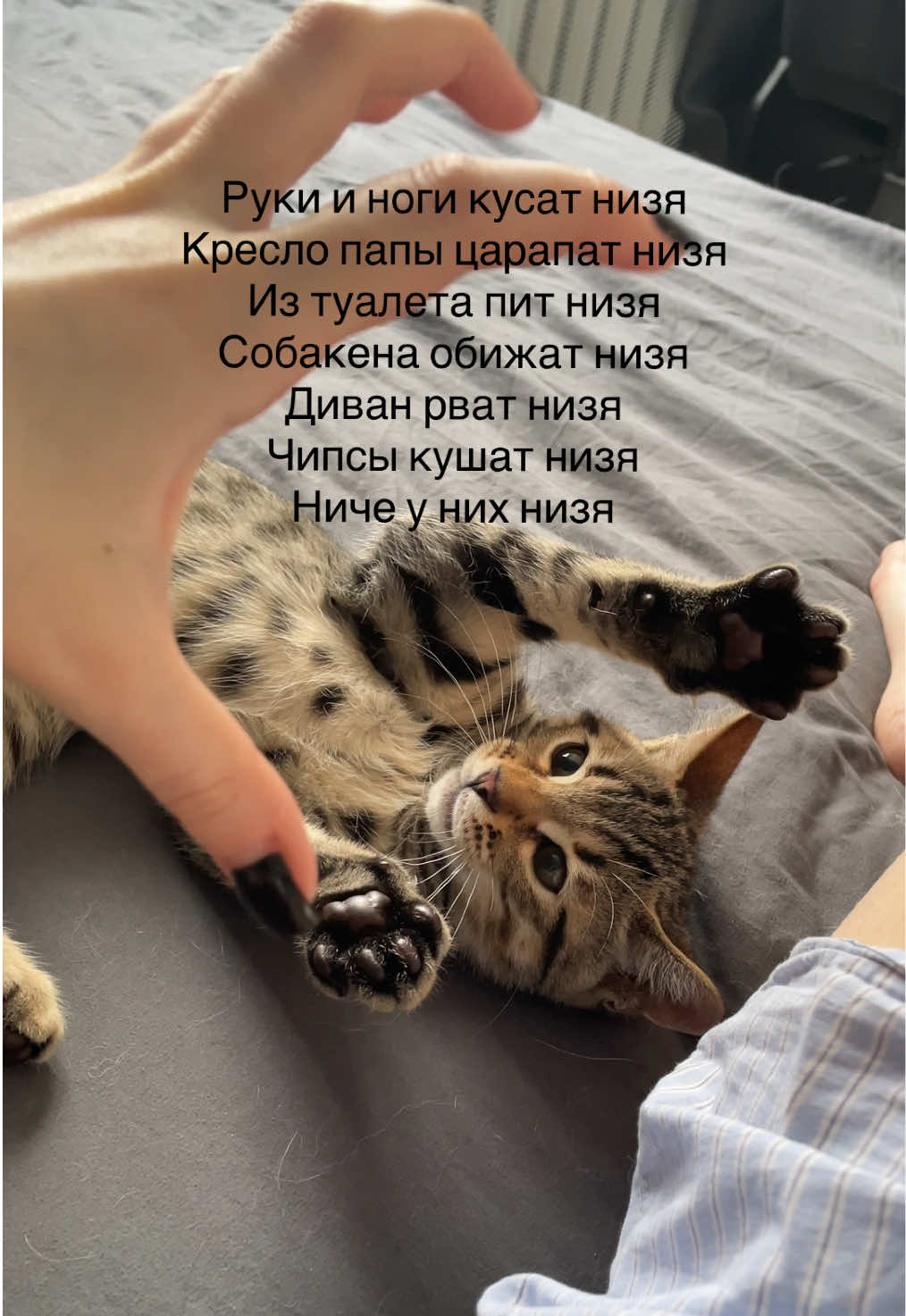 @тгк: marrriyaSH