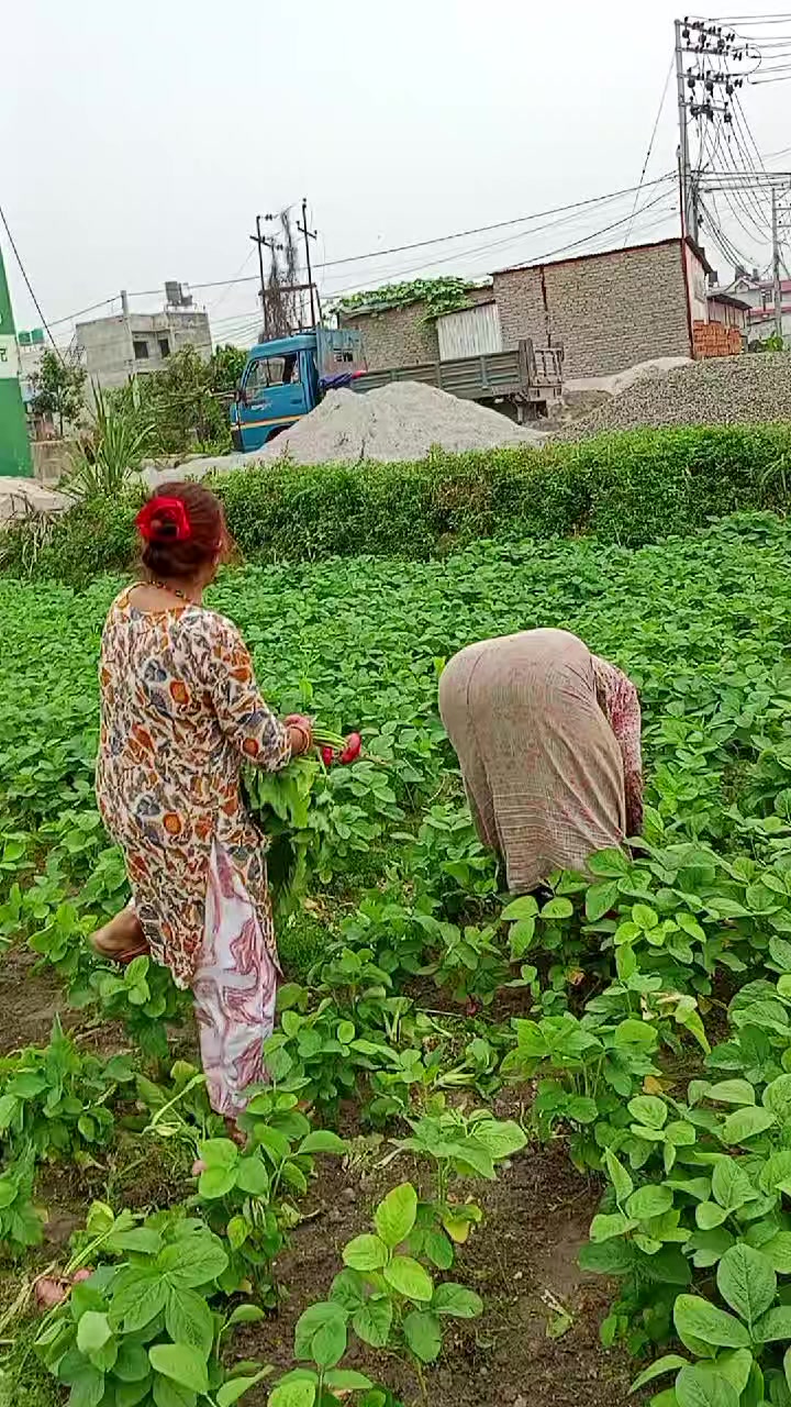 @Kaushalya Ghimire555