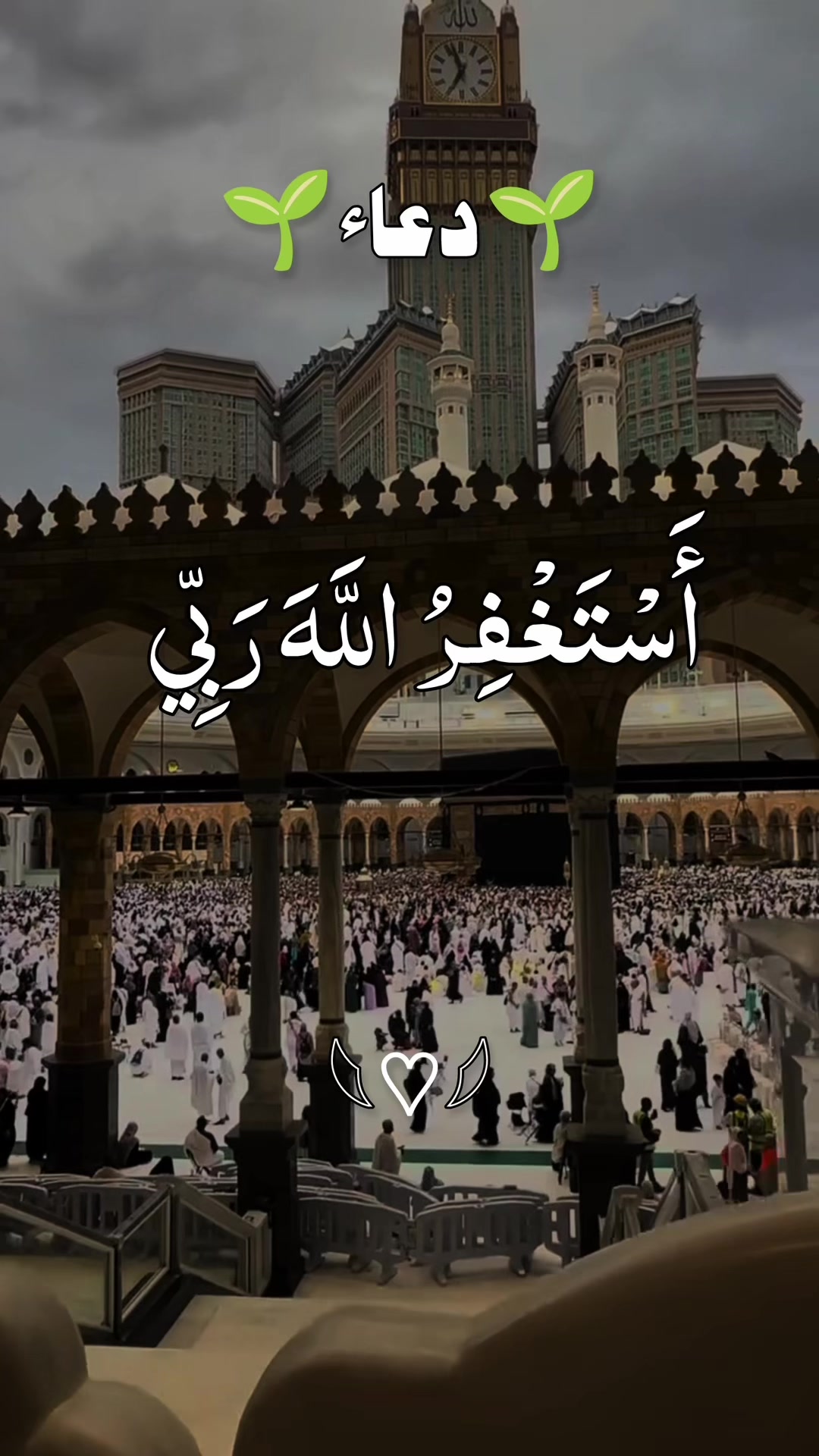 @❣️ Words of Allah ❣️