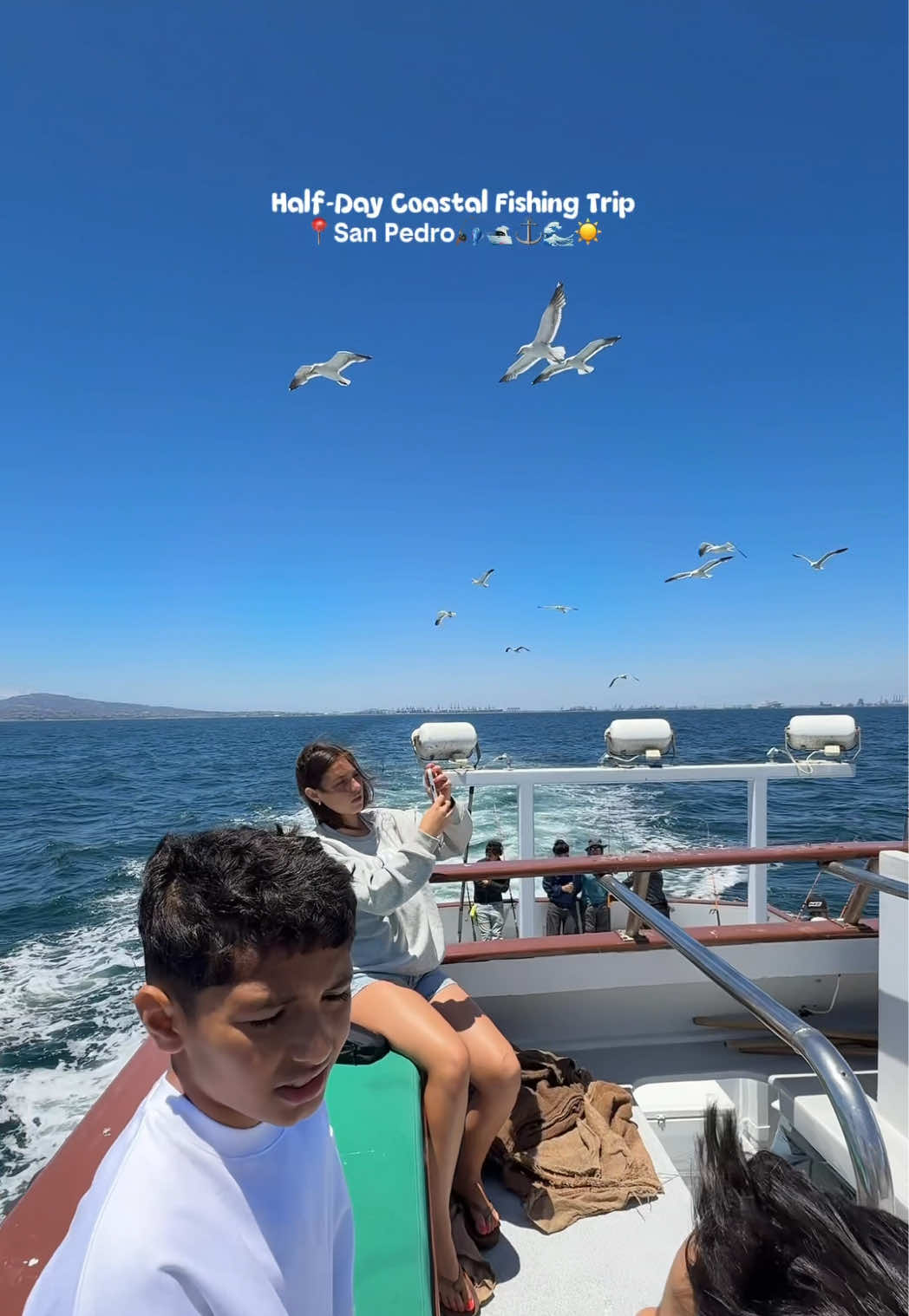 @vanessanoe