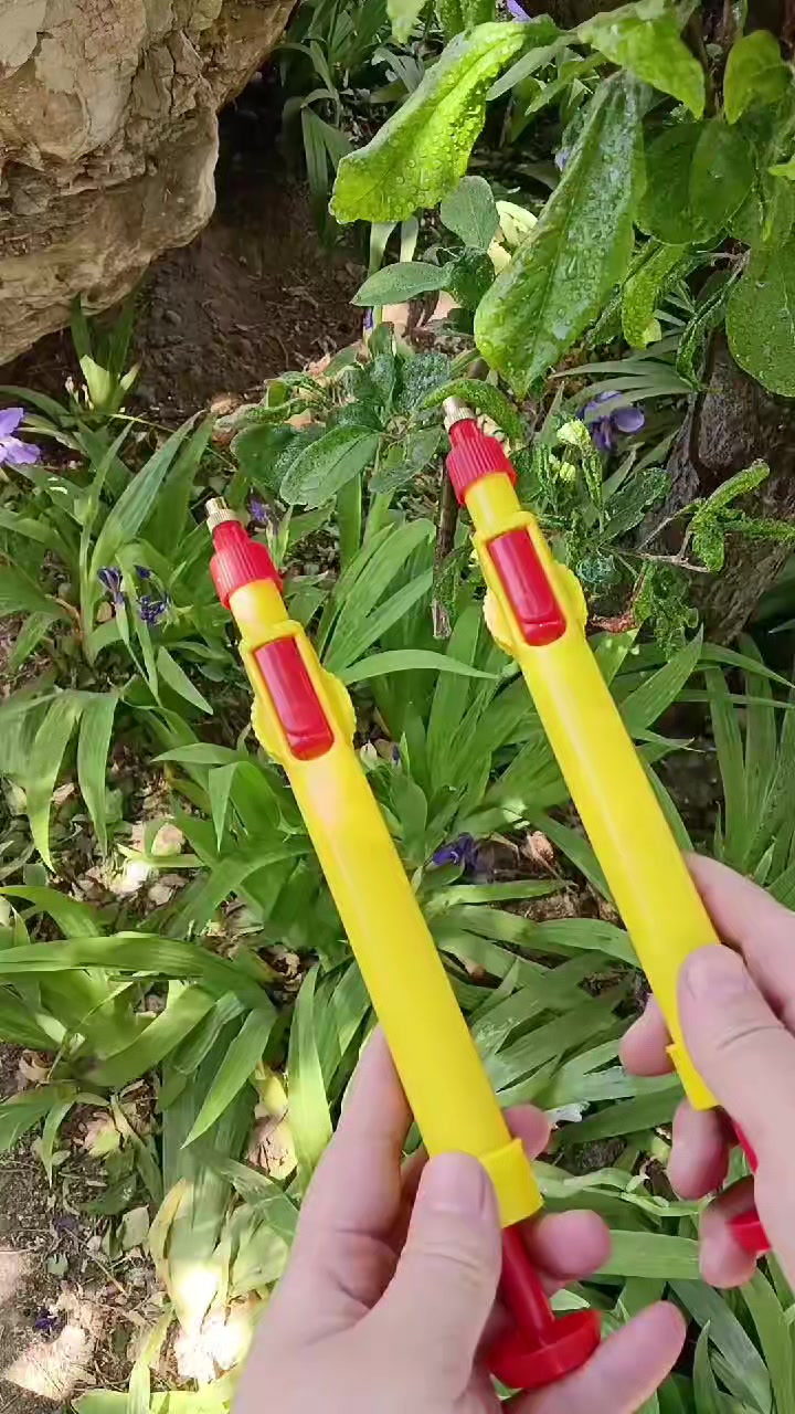 @Kakadong
