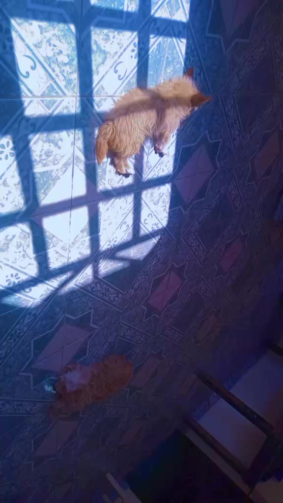 @๐ฅโ๏ธ๐๐๐๐๐๐๐๐ฒ๐ฝ๐งโ๏ธ