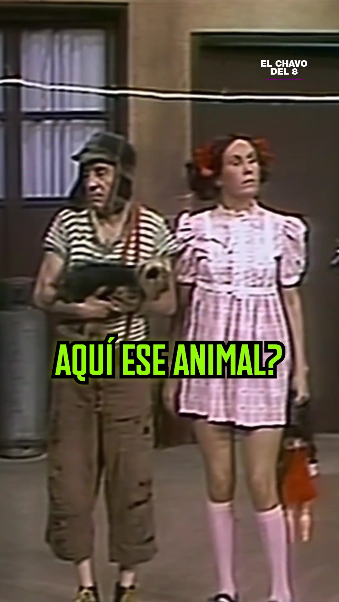 @El Chavo del 8
