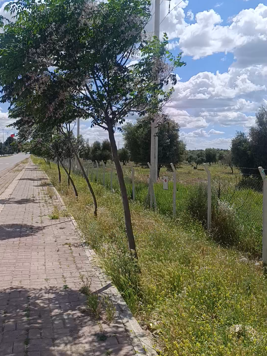 @Orhan _KURULDU