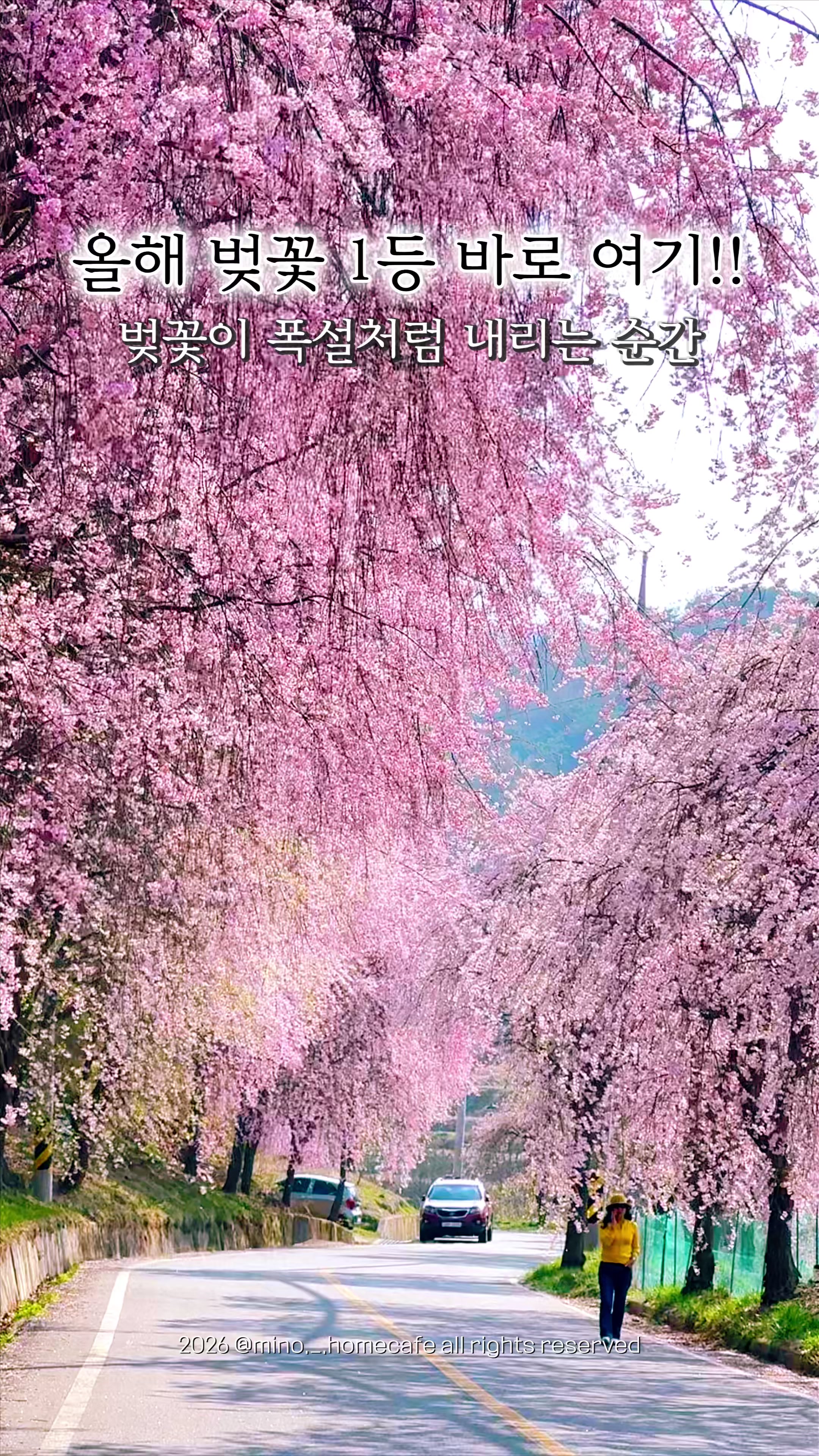@mino36 미노36