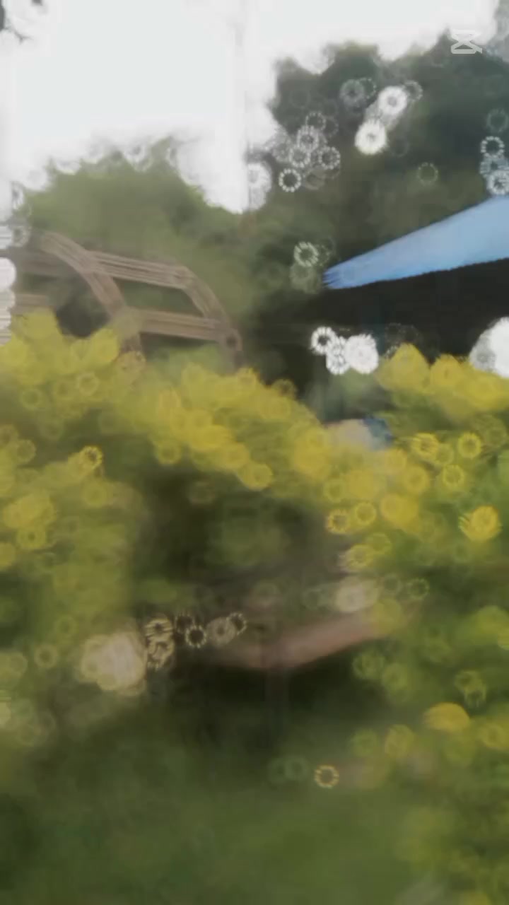 @Rðlêx_ ¥åÐåv💥⚡