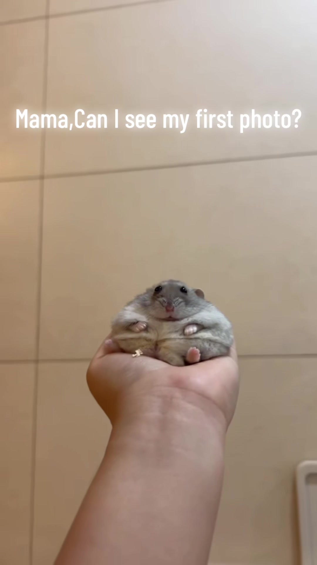 @𝒆𝒍𝒍𝒂✨