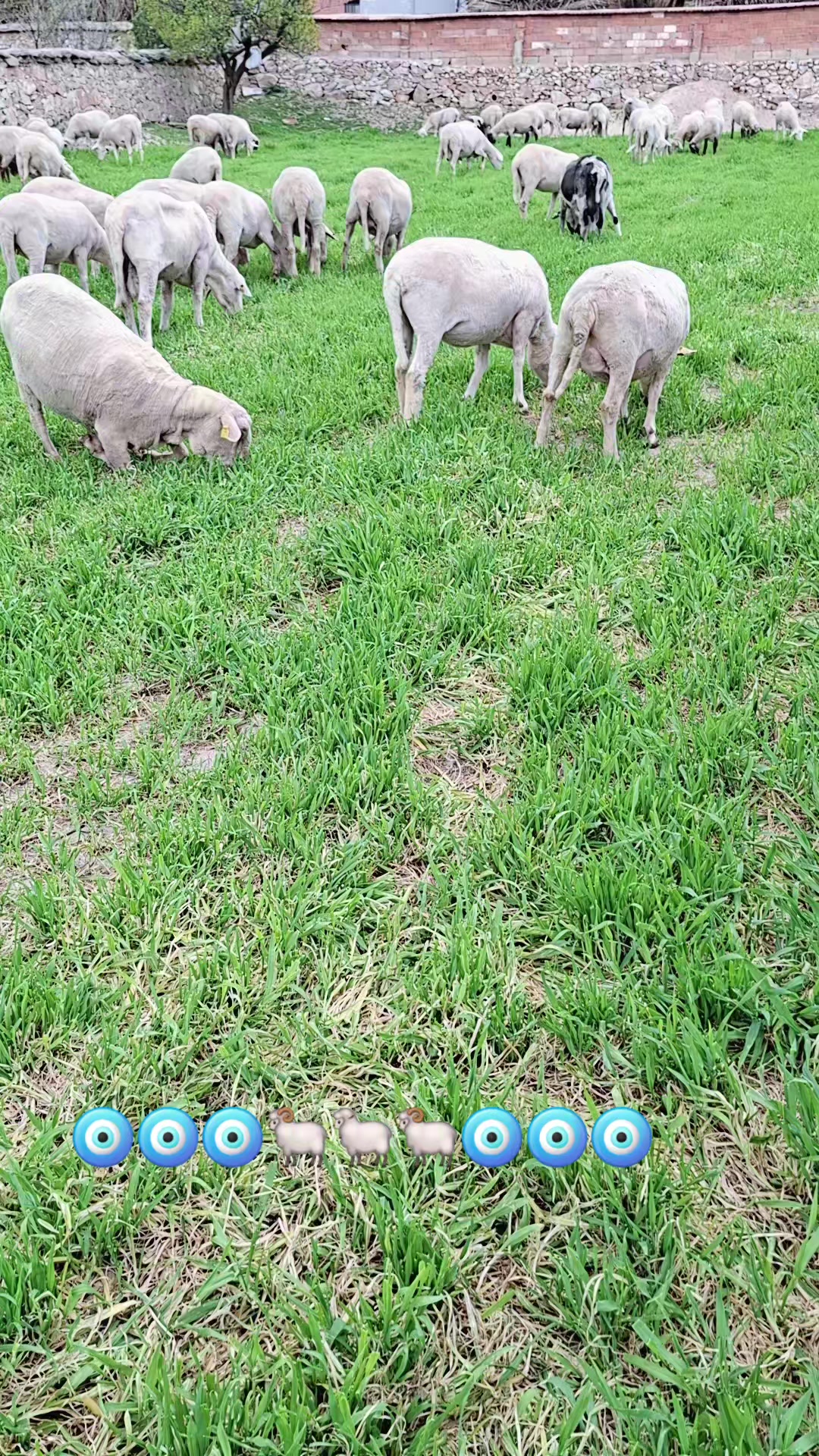 @Abdül Baki Yılmaz