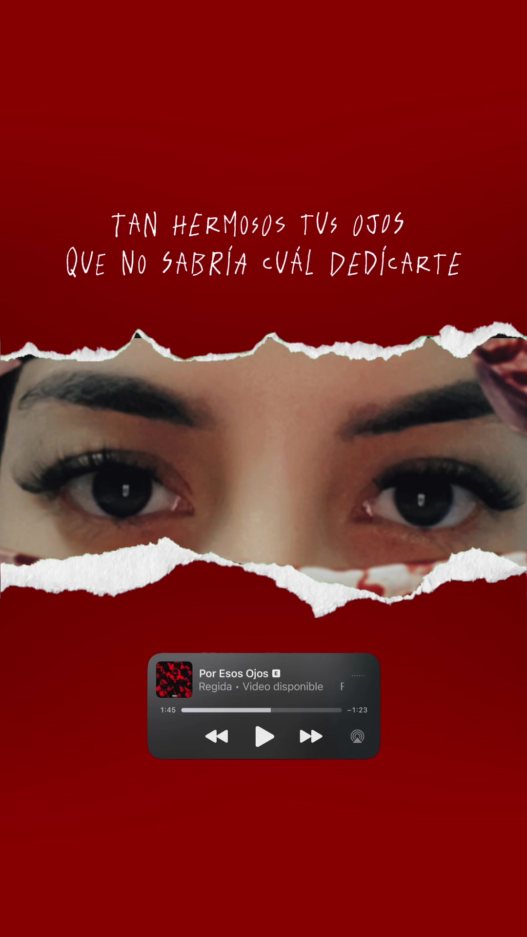 @Iris Chakon💋