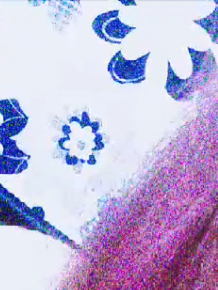 @neclix🪽
