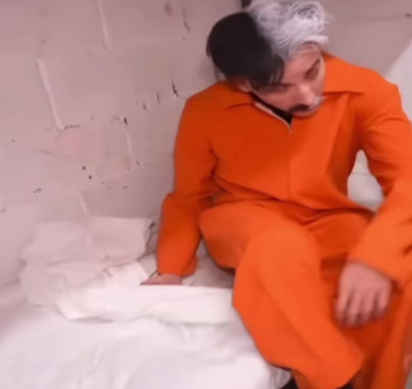 @Мёртвые крылья