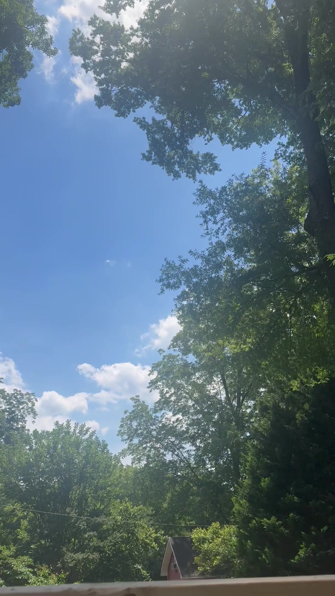 @Stephanie ~ DangSissy