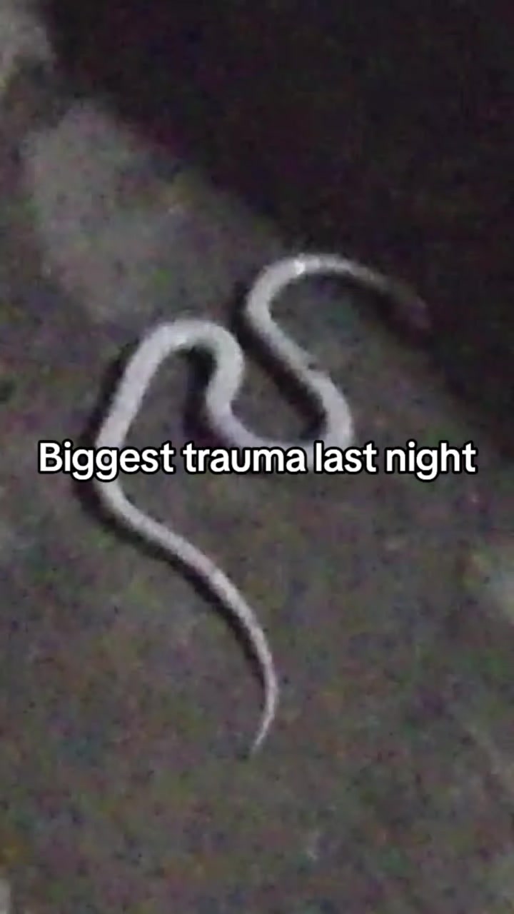 @丰𝕵𝖆𝖘𝖒𝖎𝖓𝖊 ˚٭