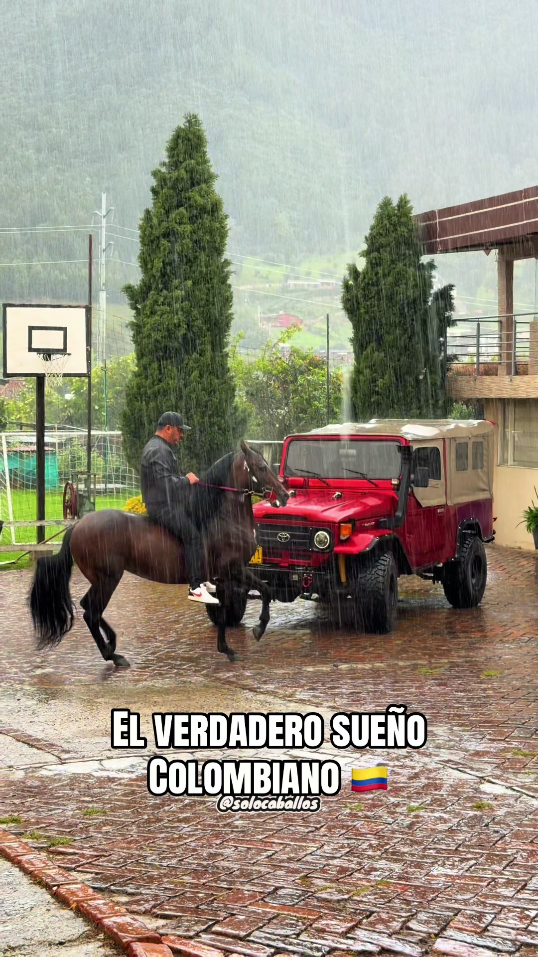 @Solo Caballos
