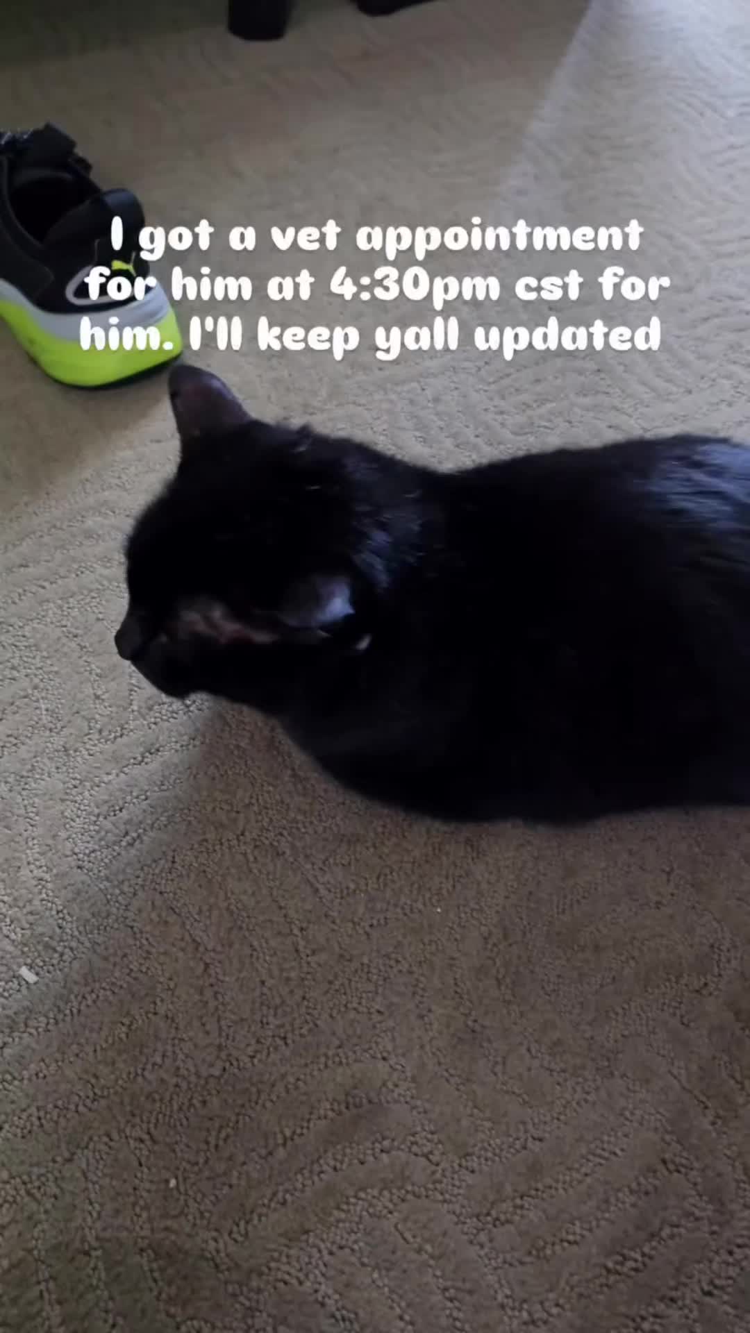 @TheBuffOtaku.ttv