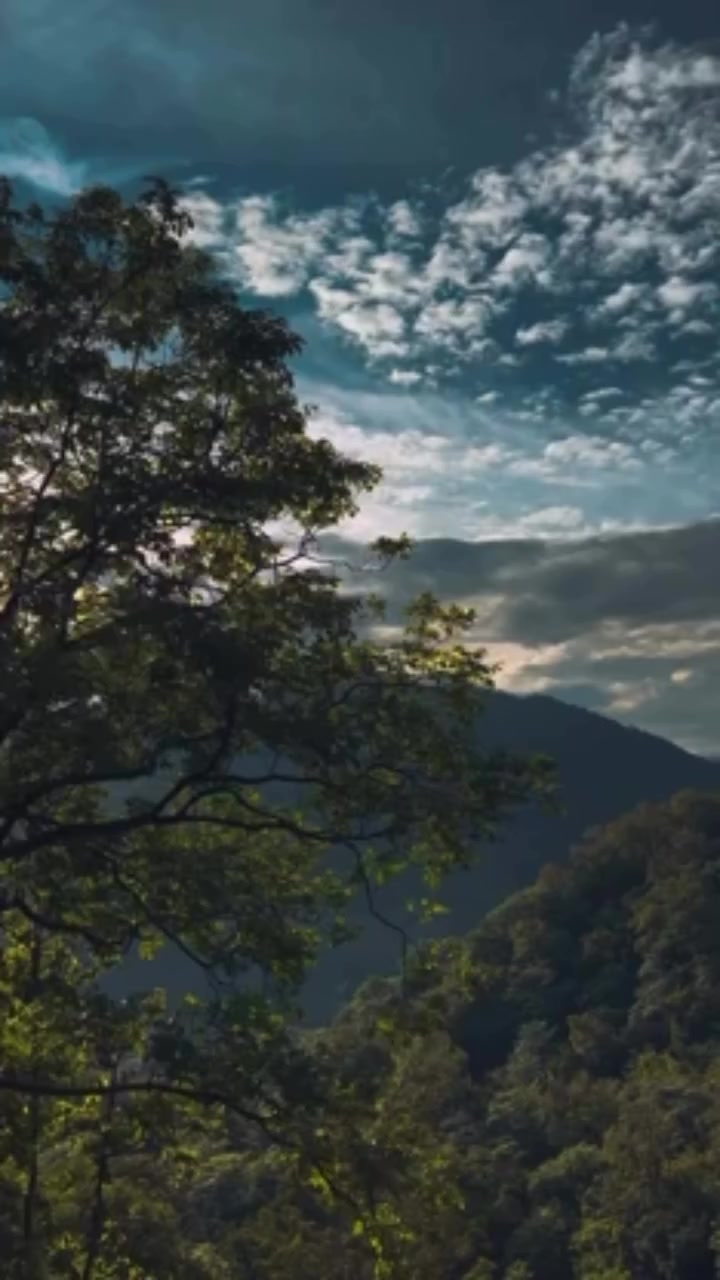 @B7F乛حسيب