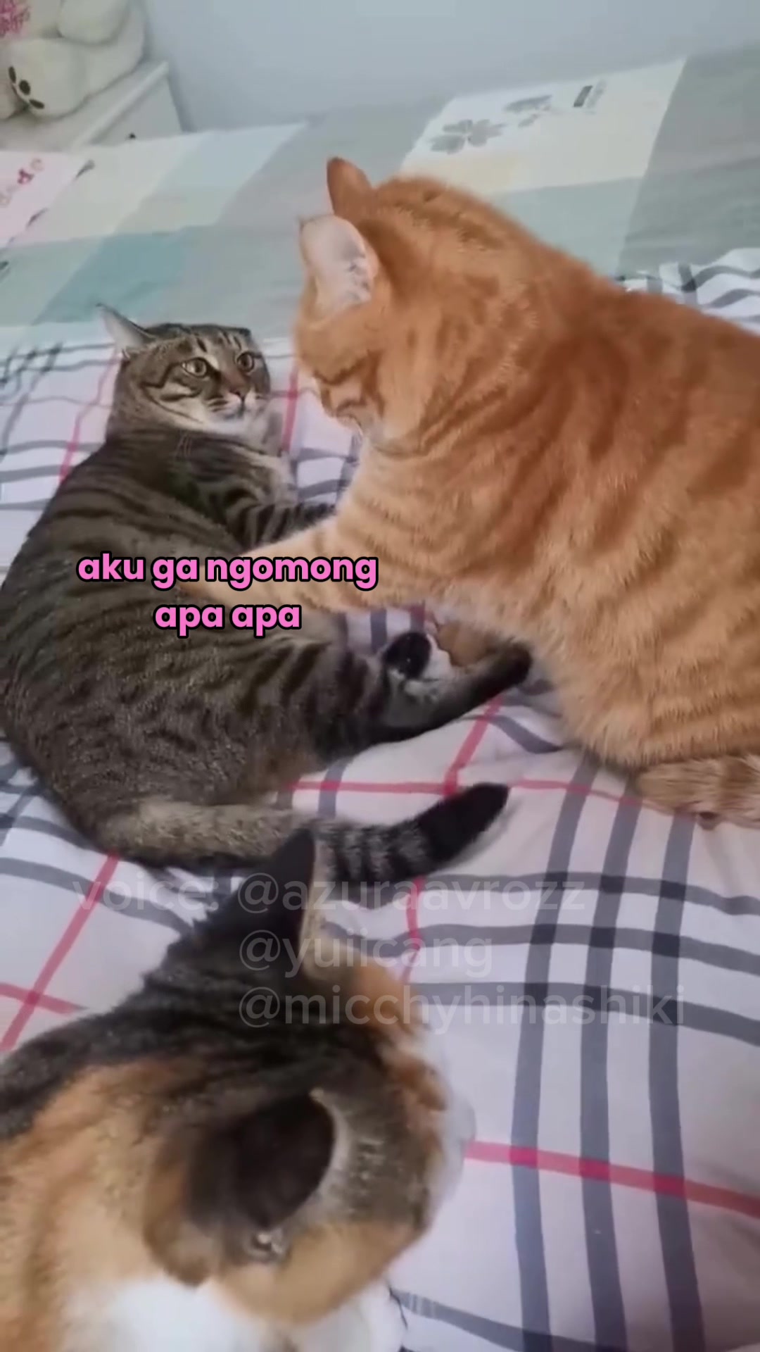 @AzuraaVrozz 侍