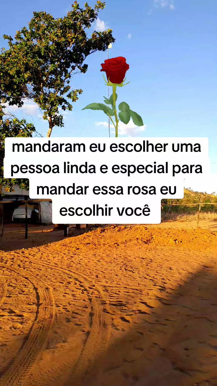@O menino da estrada
