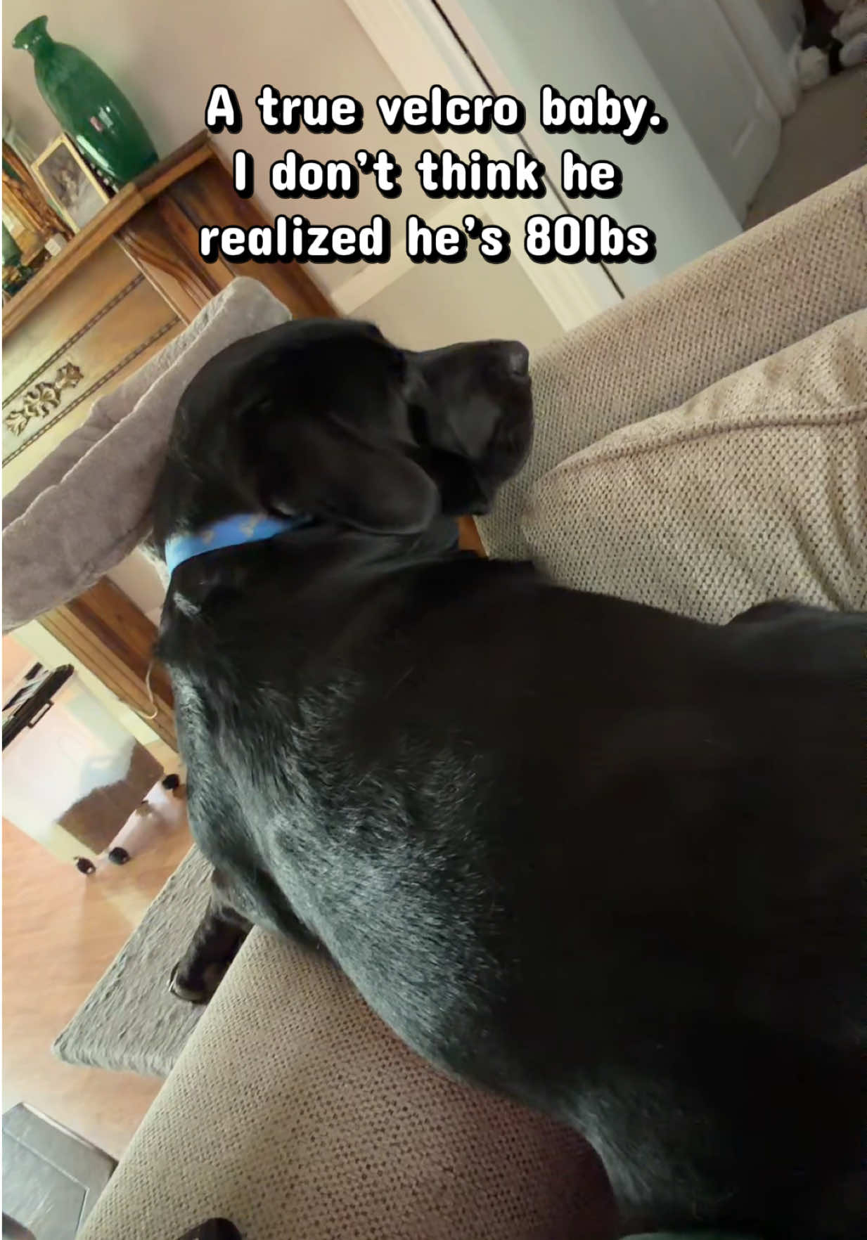 @homewithvirginia