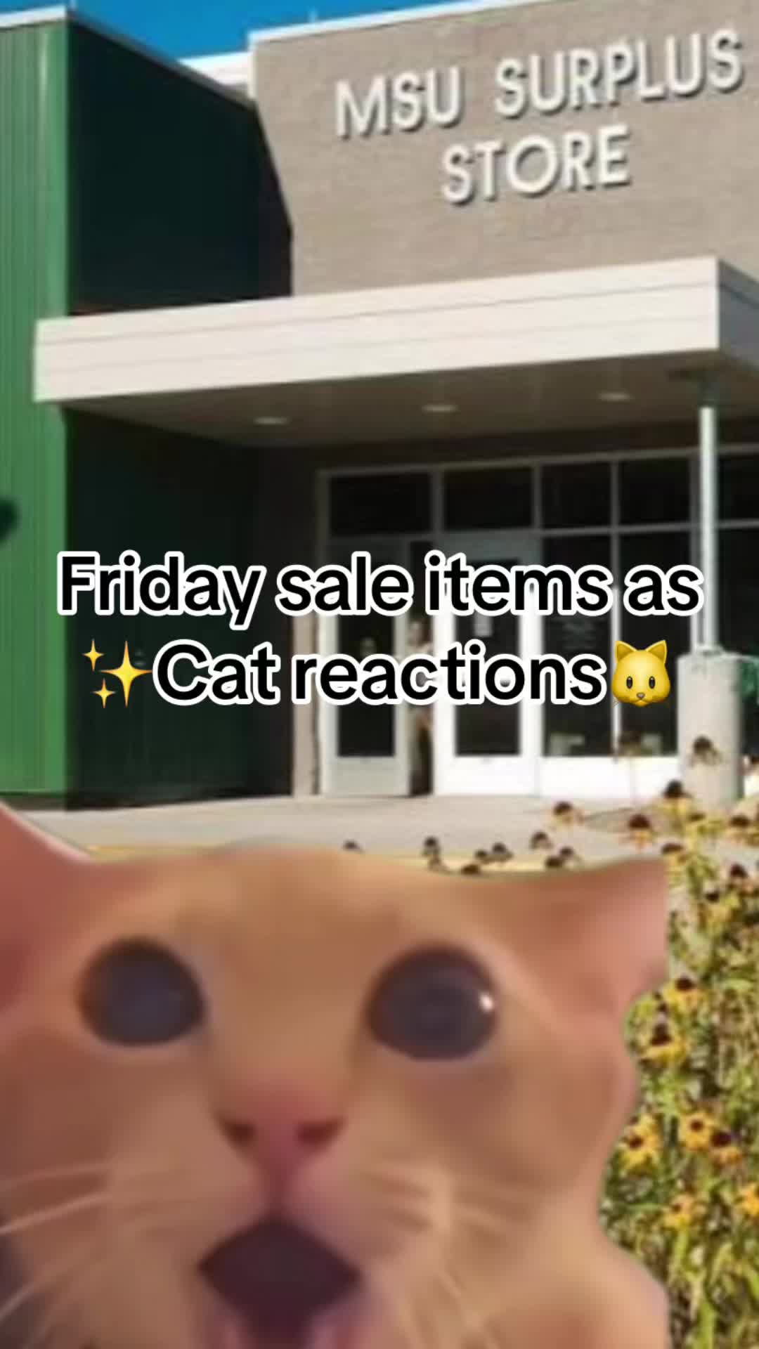 @MSU Surplus Store