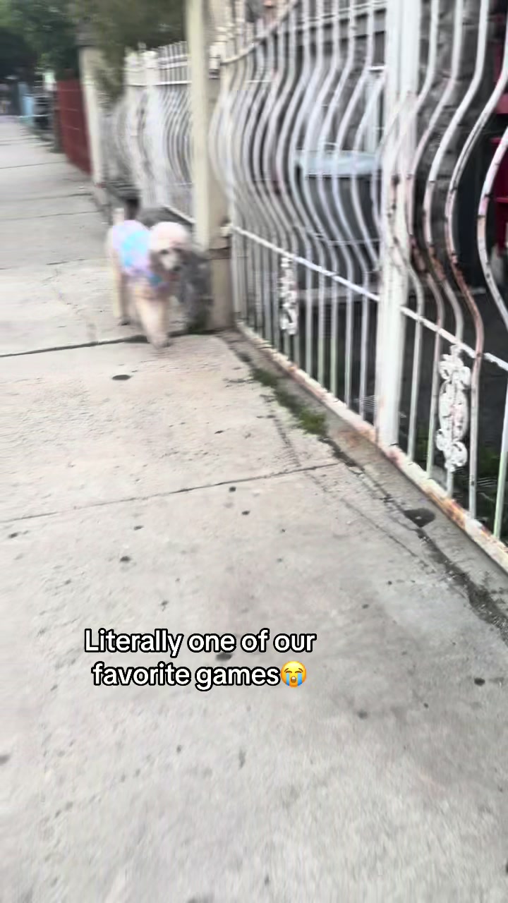 @🎭