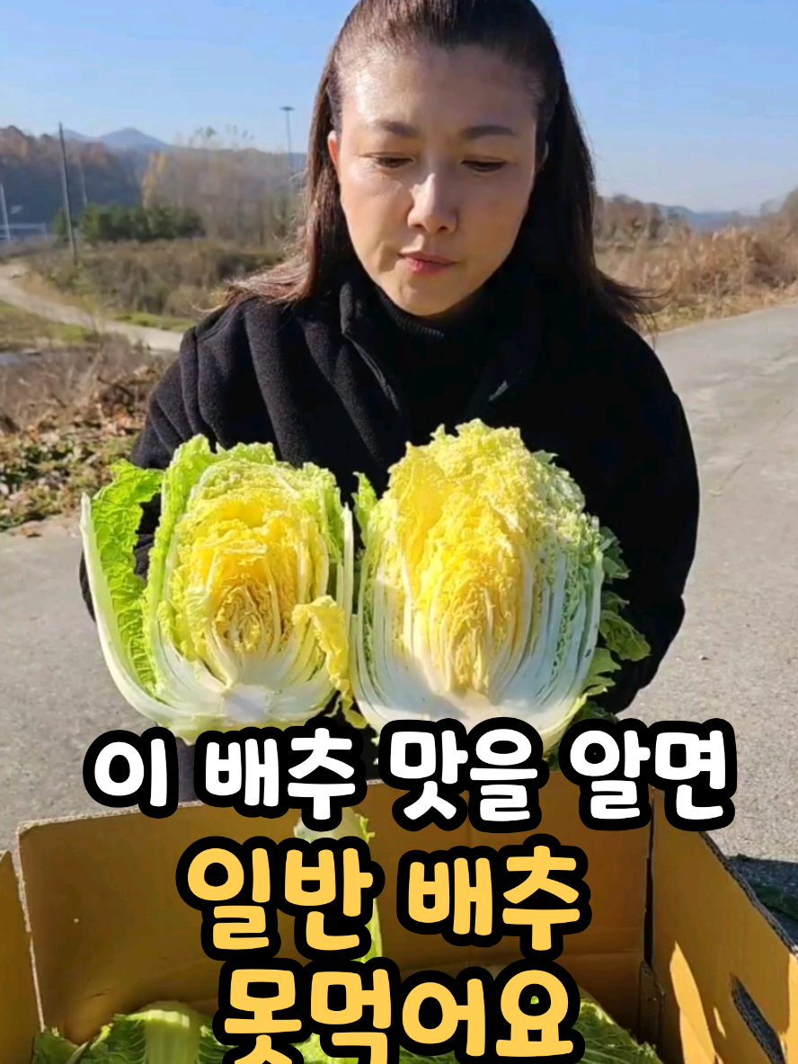 @나미제이