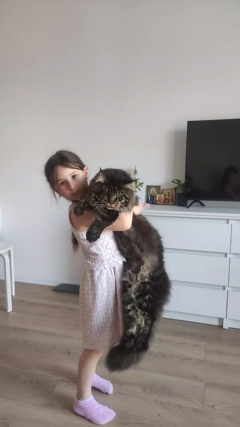 @Tatyana Shneider