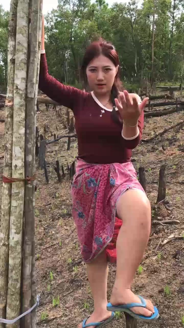 @NMT