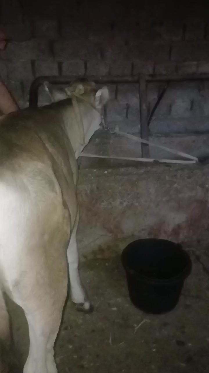 @Azizbek Mexliyev