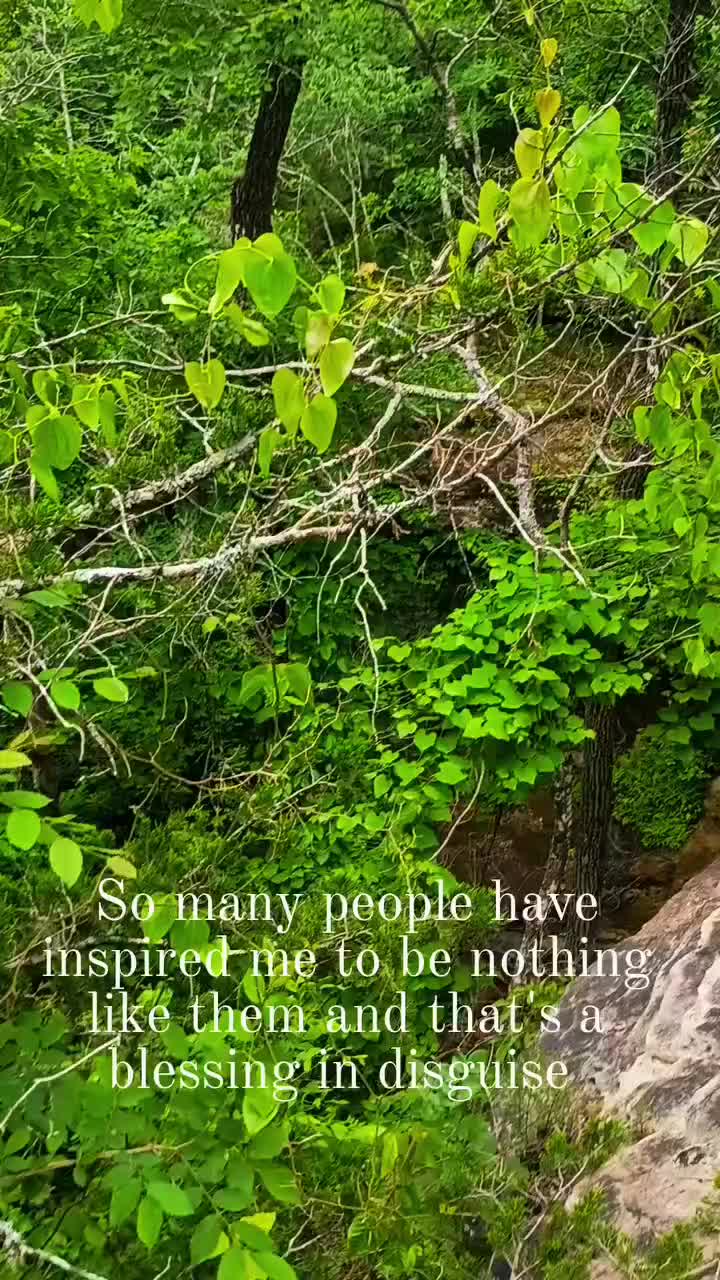@DakotaD | the scenic gardener