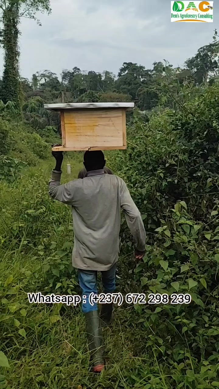 @Dem's Agroforestry Consulting