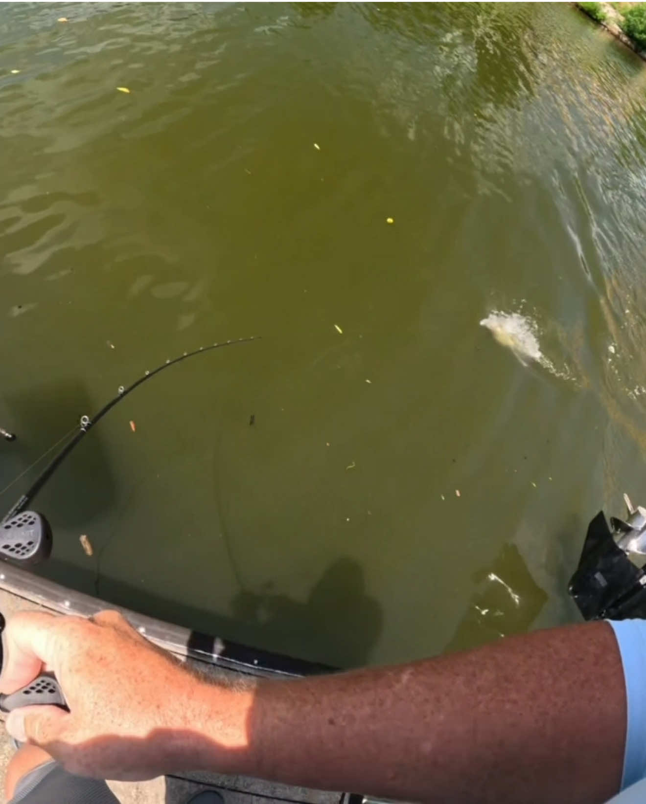 @Tacklehead Fishing