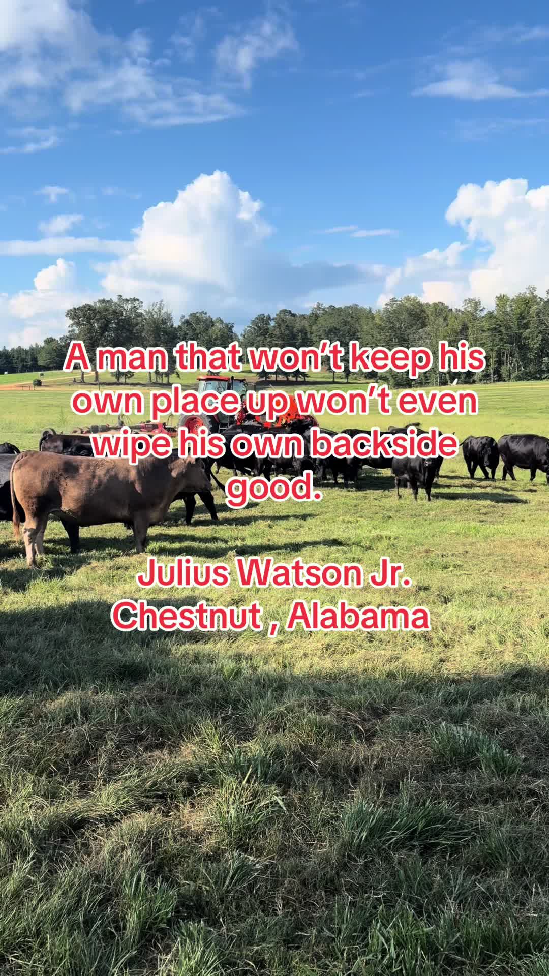 @Murder_Creek_Cattle_Co