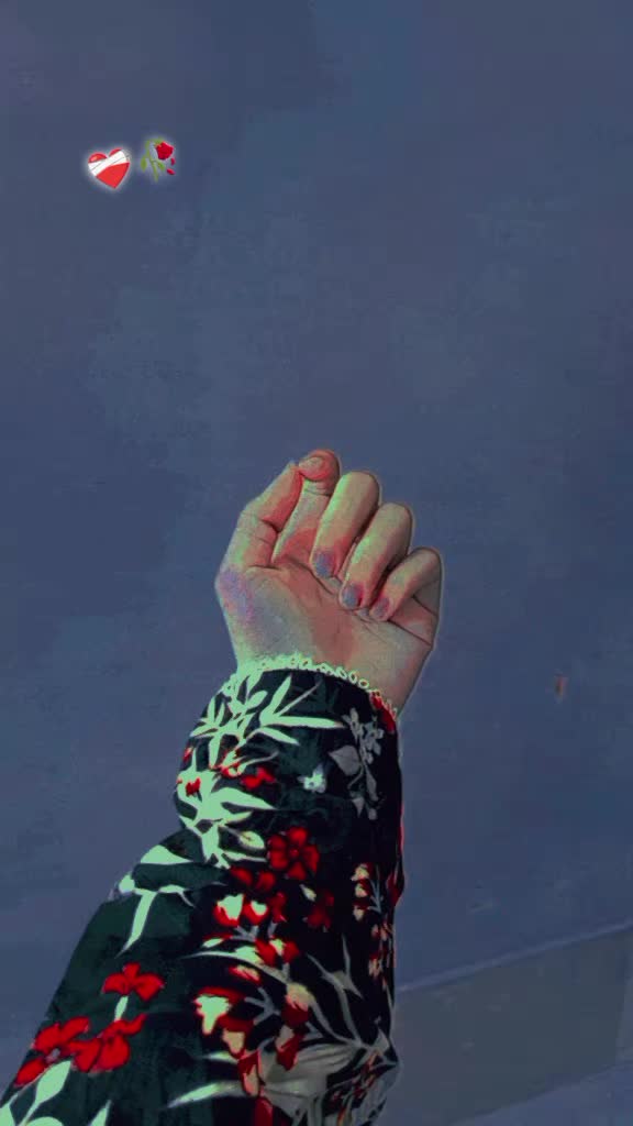 @(｡✿Z&Iuml;dd&Iuml;‿CHŌKRH&Iuml;✿｡)