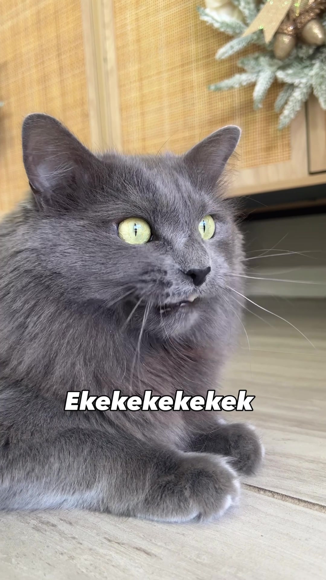 @ekekekkekkek