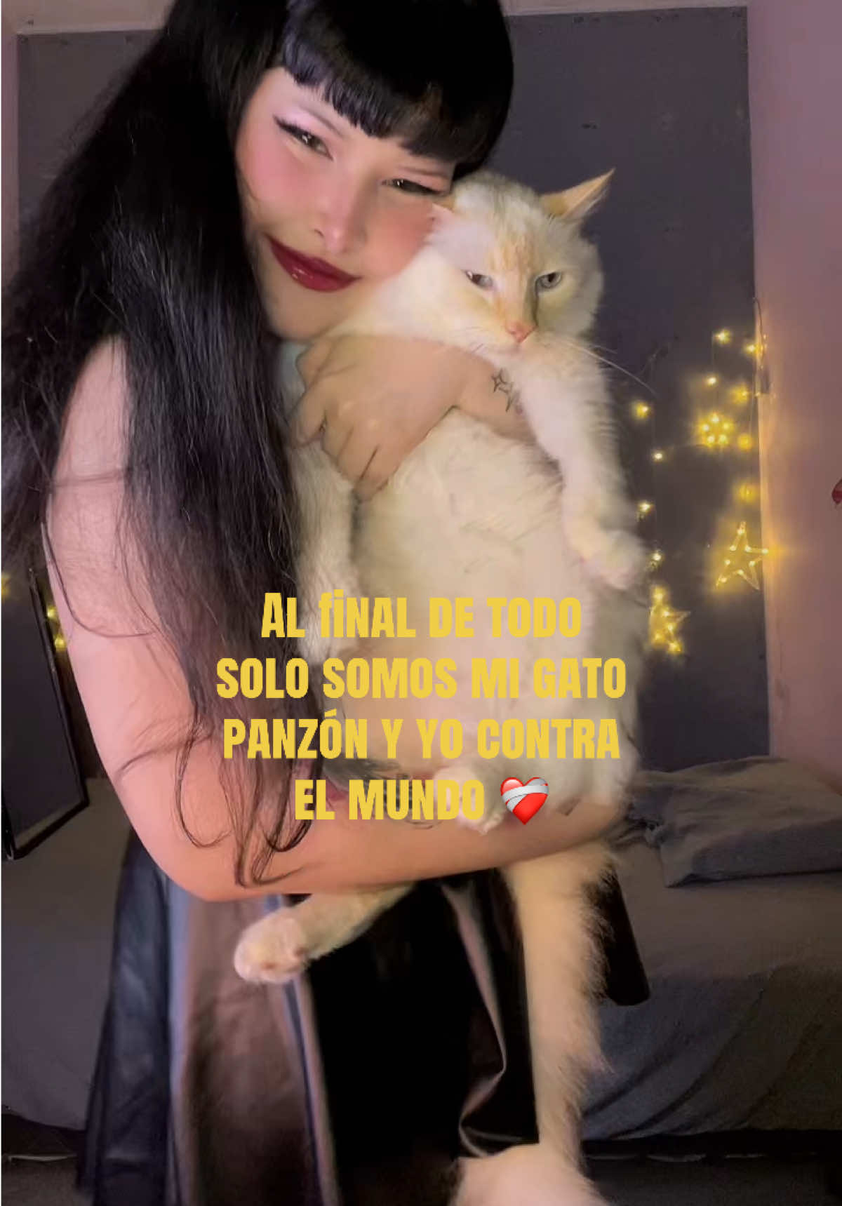 @✨Fanyxkat🌙