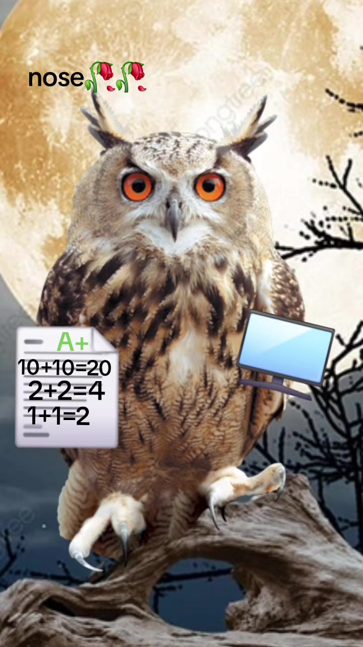 @한국 ._.2