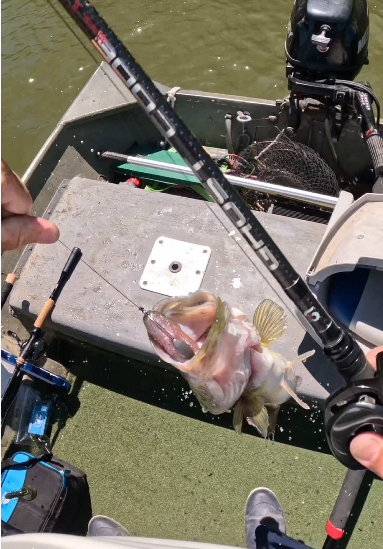 @Tacklehead Fishing