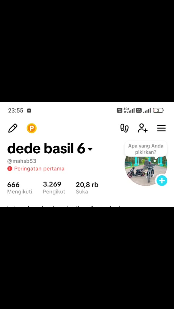 @dede basil 6