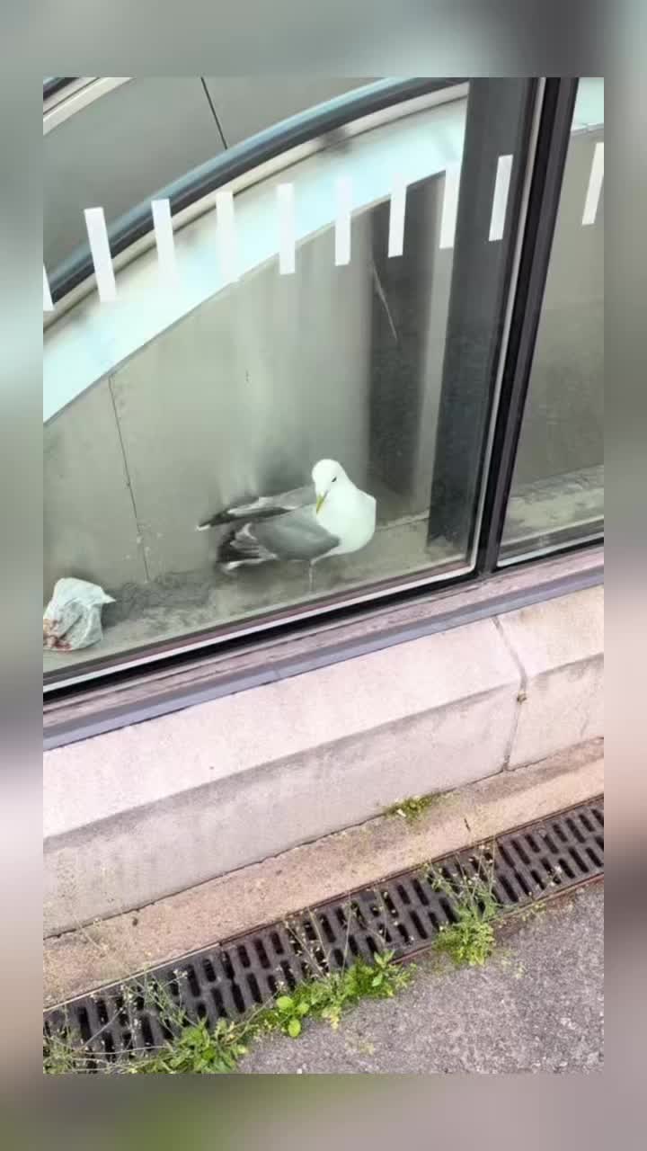 @@zbdiditagain