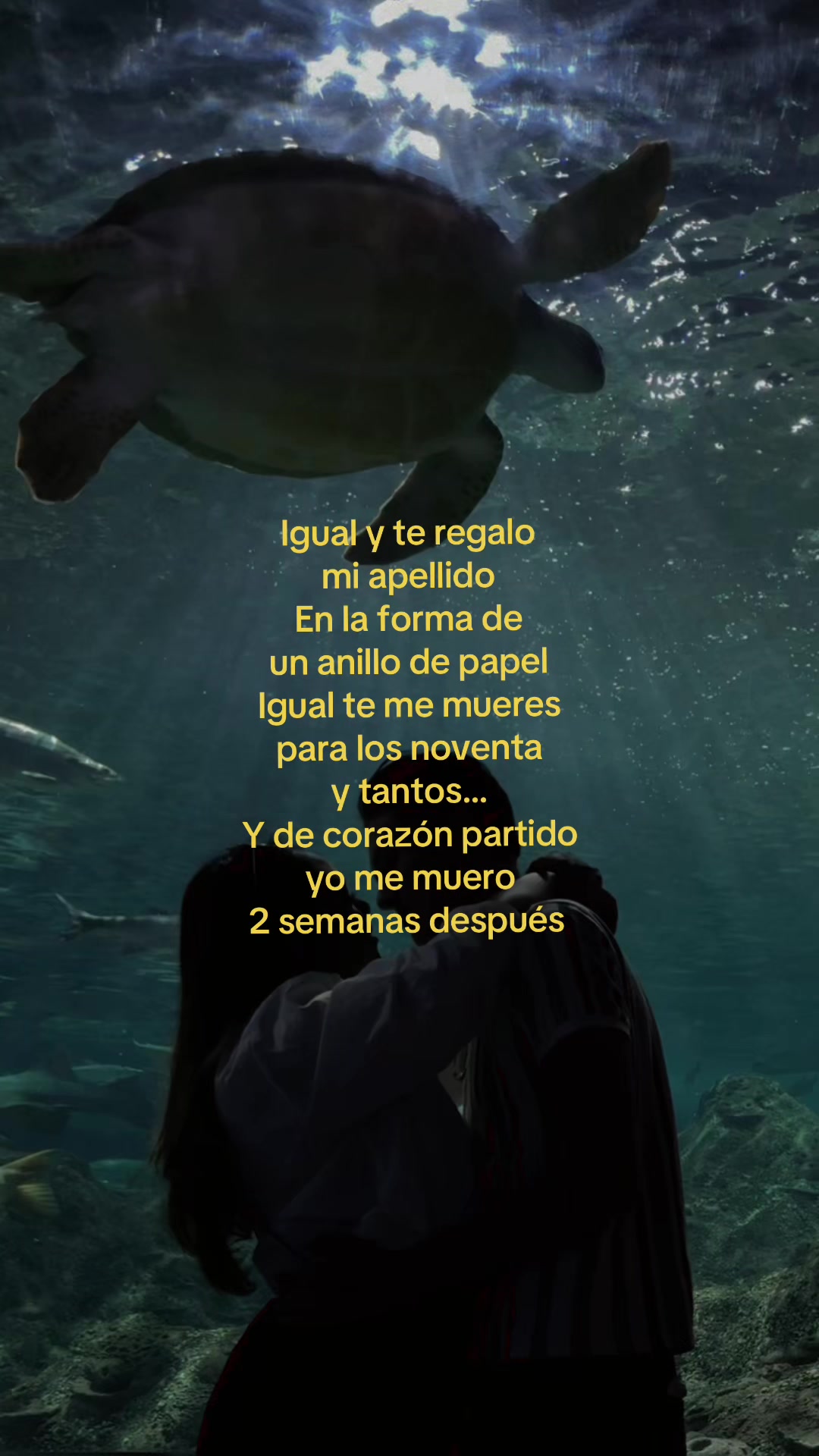 @thisispollo