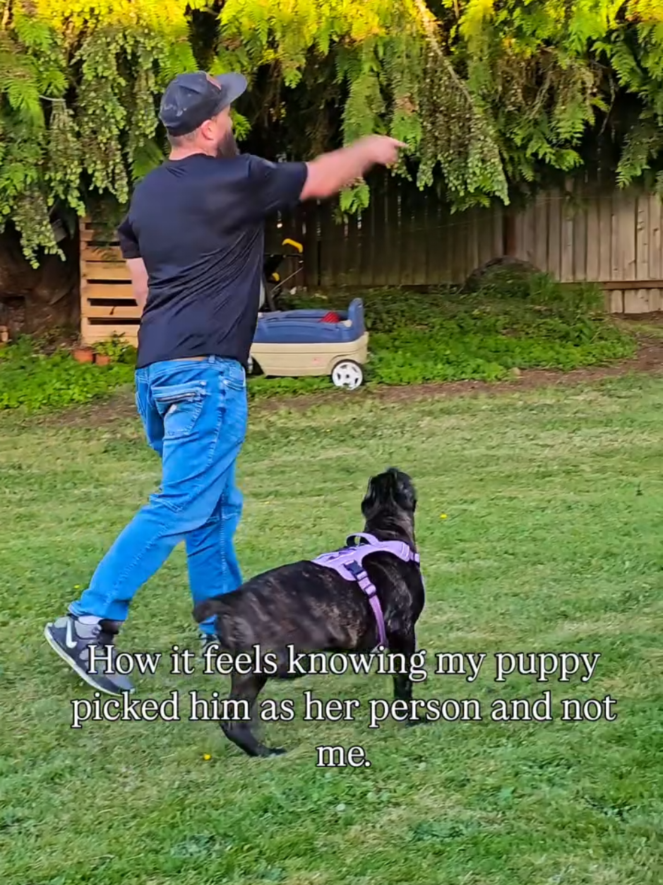 @SalmonCreekCaneCorso